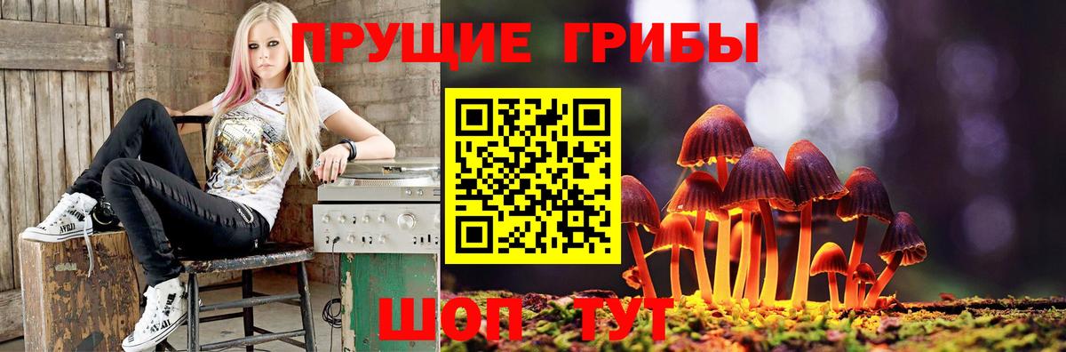Озёрск  Псилоцибиновые грибы прущие грибы  Галлюциногенные грибы ЛСД  Вход с VPN 