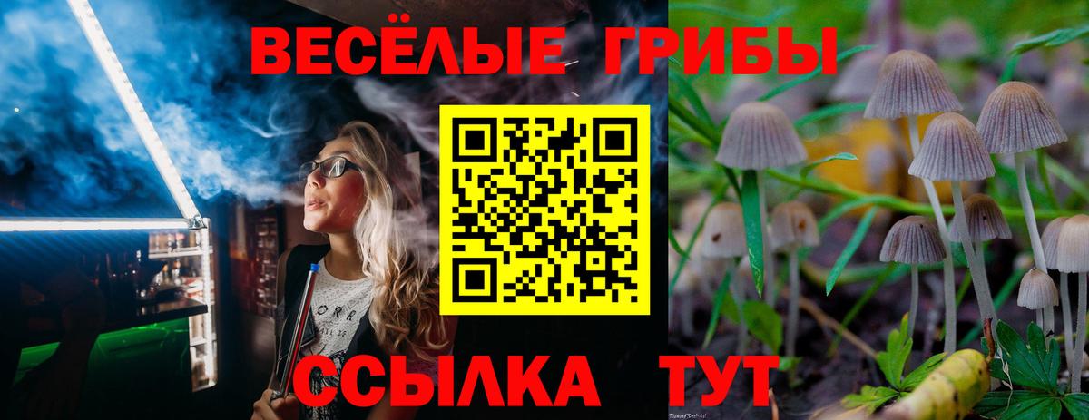 Псилоцибиновые грибы GOLDEN TEACHER Озёрск